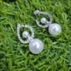 2 in 1 Classic Zircon Pearl Drop Earrings – Silver