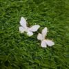 Elegant Butterfly Stud Earrings – White